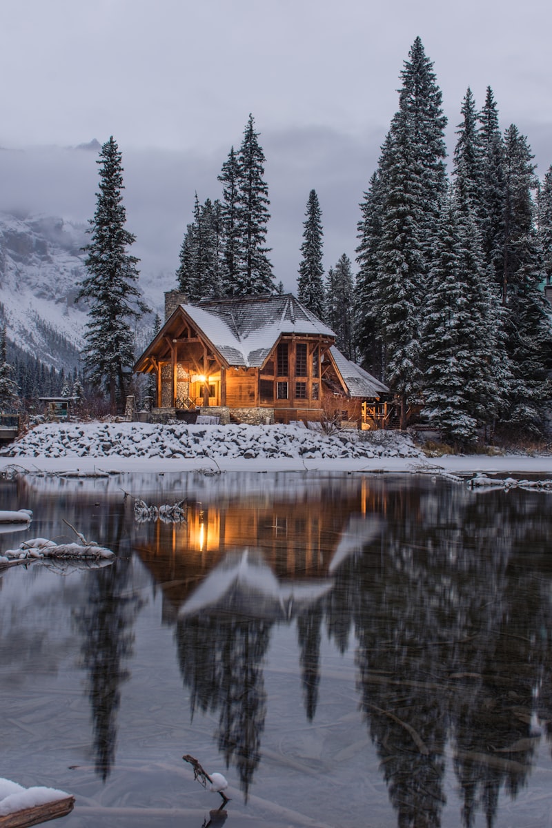Cabin Unpack & Decompress